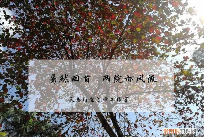 蓦然回首下一句,众人寻他千百度,蓦然回首,哥哥依旧对我不屑一顾的下一句是什么?