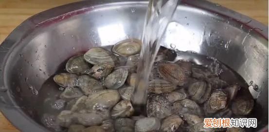 用盐水洗花甲的正确方法 盐水洗花甲的正确方法