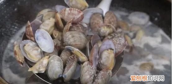 用盐水洗花甲的正确方法 盐水洗花甲的正确方法