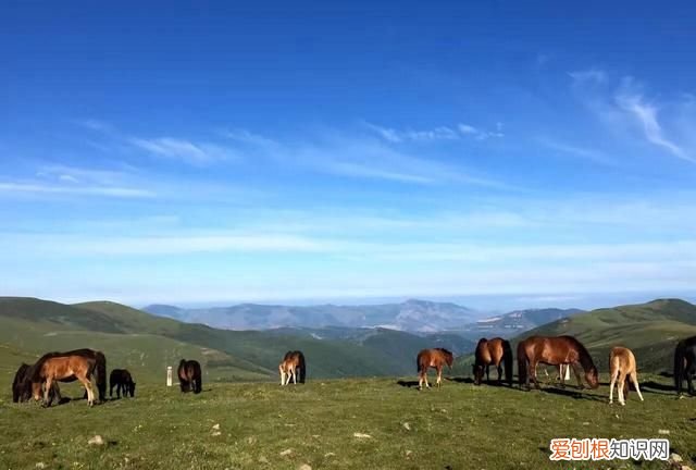 五台山是世界五大佛教圣地之一吗