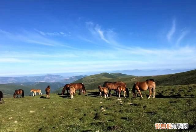 五台山是世界五大佛教圣地之一吗