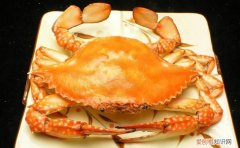 葫芦岛美食，葫芦岛必吃十大美食？