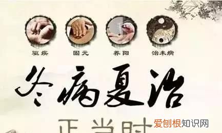 三伏天是什么意思，过了两个三伏天是什么意思？