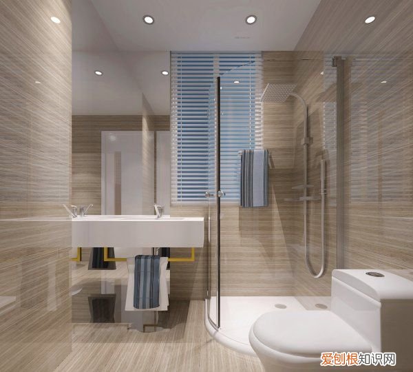 卫生间下水管道堵塞怎么办，如何预防家里厕所的管道堵塞