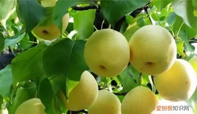 兰州有名的特色小吃 兰州这8种特色小吃比肉还好吃