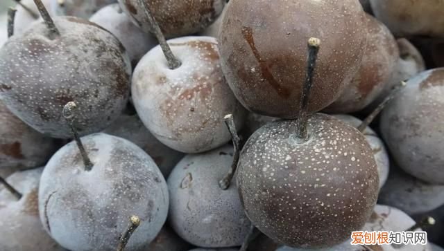 兰州有名的特色小吃 兰州这8种特色小吃比肉还好吃