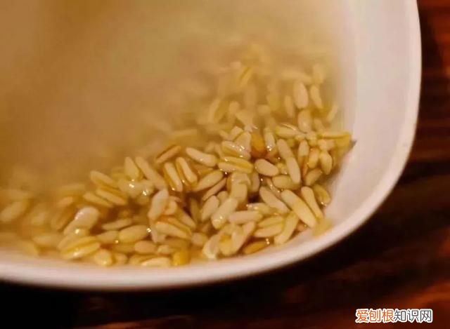 兰州有名的特色小吃 兰州这8种特色小吃比肉还好吃