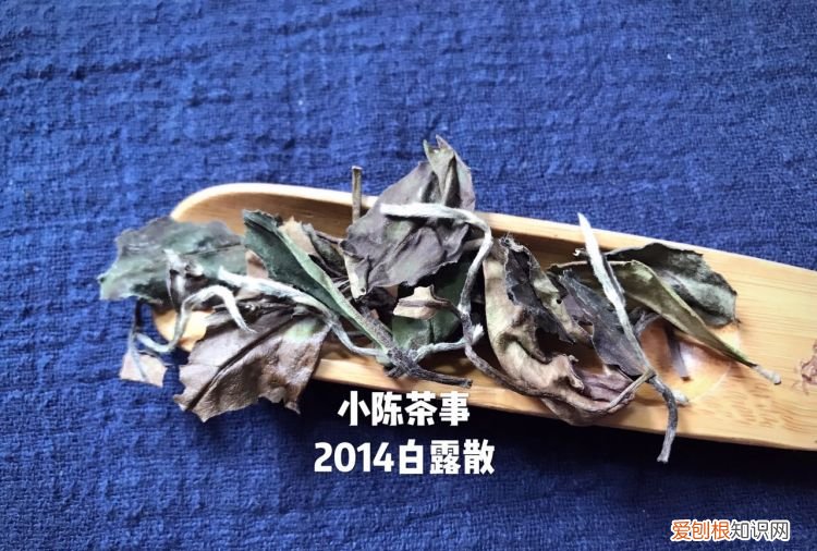 白茶的药用价值在哪里,白茶的功效及口感