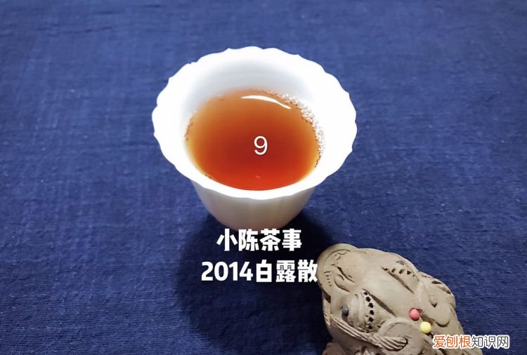 白茶的药用价值在哪里,白茶的功效及口感