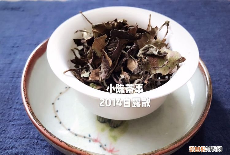 白茶的药用价值在哪里,白茶的功效及口感