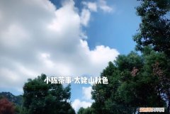 白茶的药用价值在哪里，白茶的功效及口感