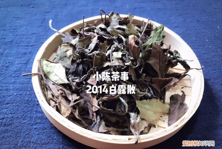 白茶的药用价值在哪里,白茶的功效及口感