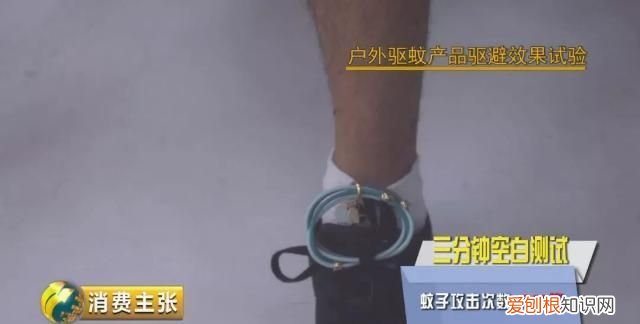 驱蚊液驱蚊手环真的有用吗,驱蚊贴驱蚊手环驱蚊液