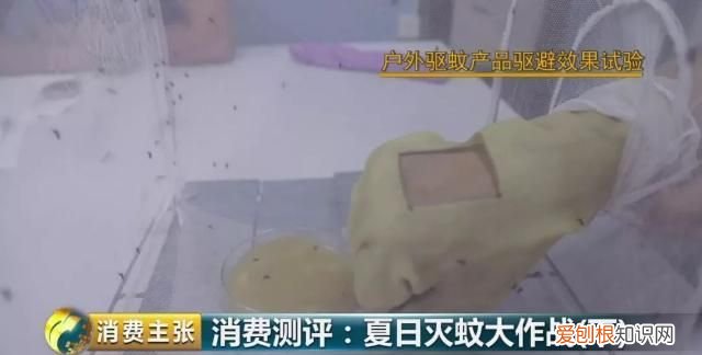 驱蚊液驱蚊手环真的有用吗,驱蚊贴驱蚊手环驱蚊液