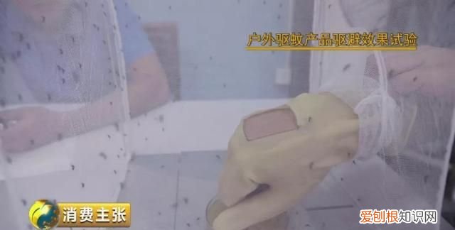 驱蚊液驱蚊手环真的有用吗,驱蚊贴驱蚊手环驱蚊液