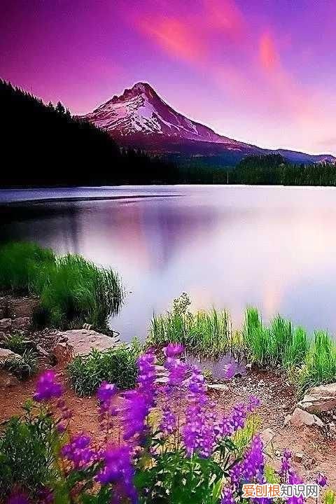 面具之偶小说有第二本吗，一个人天天给你发早安和晚安你会怎样