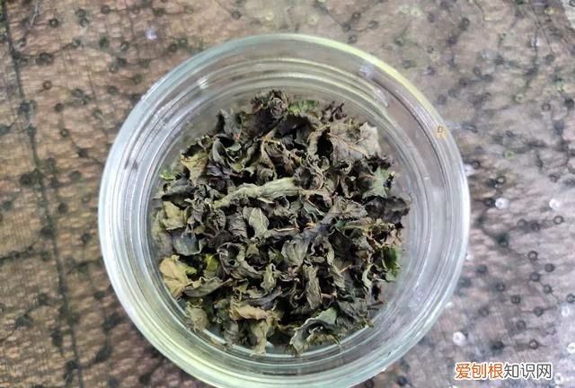 薄荷茶的正确制作和保存
