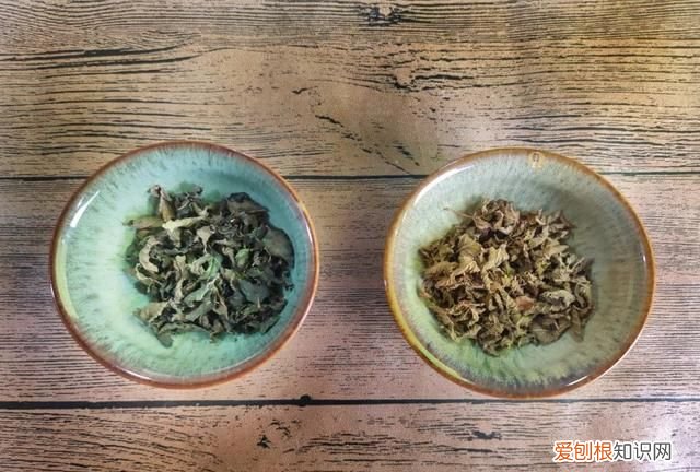 薄荷茶的正确制作和保存