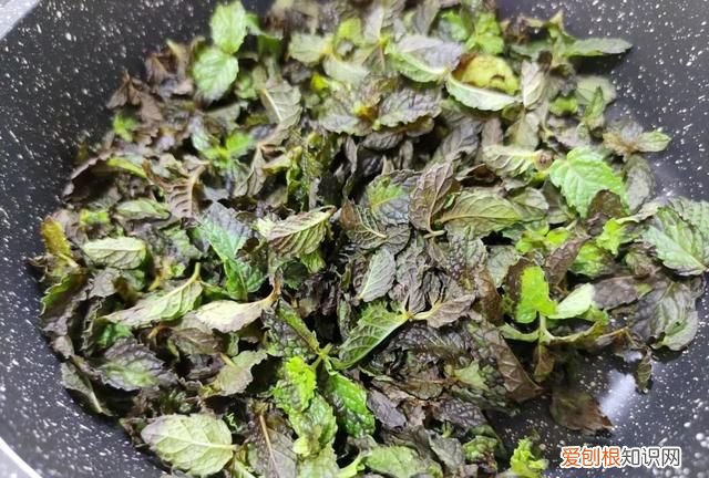 薄荷茶的正确制作和保存