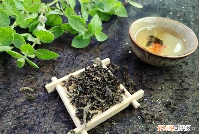 薄荷茶的正确制作和保存