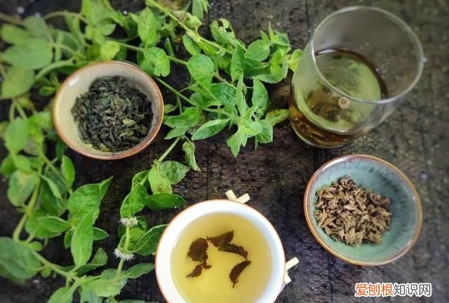 薄荷茶的正确制作和保存