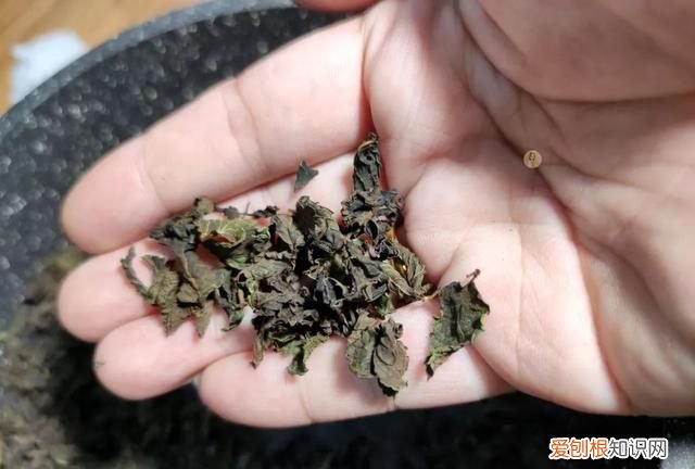 薄荷茶的正确制作和保存