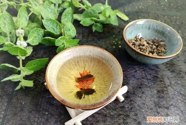 薄荷茶的正确制作和保存