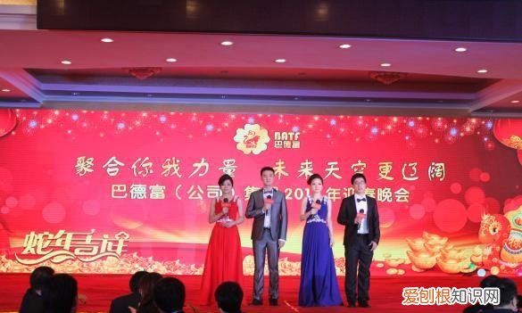 巴德富集团是上市公司吗