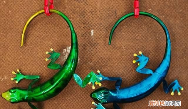 塞舌尔最后的伊甸园,塞舌尔地球上最后的伊甸园