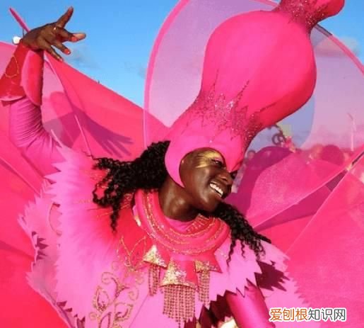 塞舌尔最后的伊甸园,塞舌尔地球上最后的伊甸园