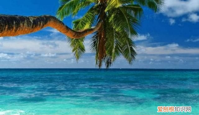 塞舌尔最后的伊甸园,塞舌尔地球上最后的伊甸园