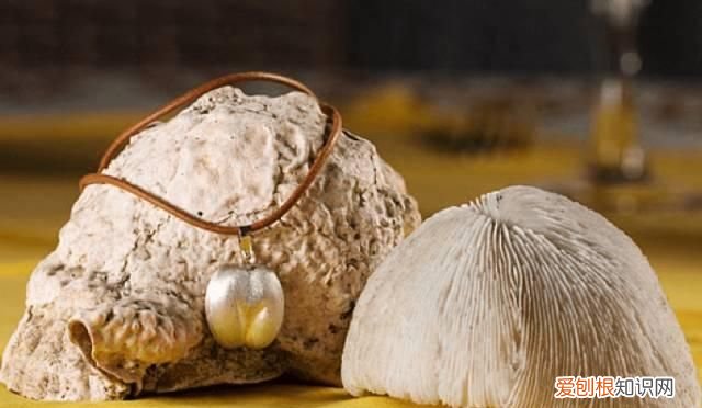 塞舌尔最后的伊甸园,塞舌尔地球上最后的伊甸园