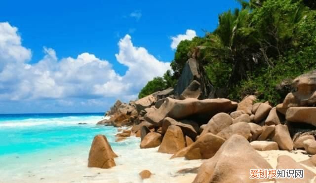 塞舌尔最后的伊甸园,塞舌尔地球上最后的伊甸园