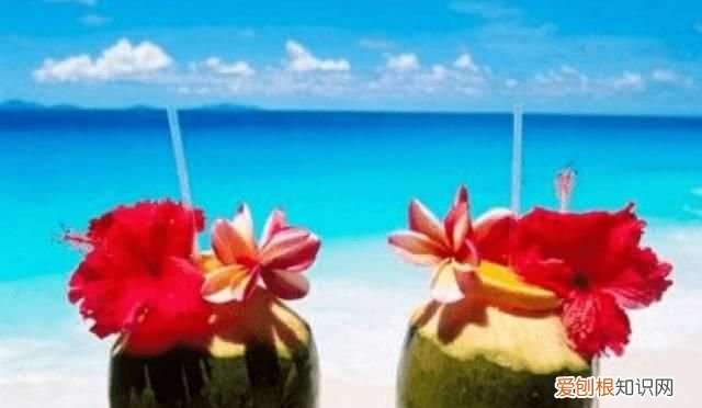 塞舌尔最后的伊甸园,塞舌尔地球上最后的伊甸园