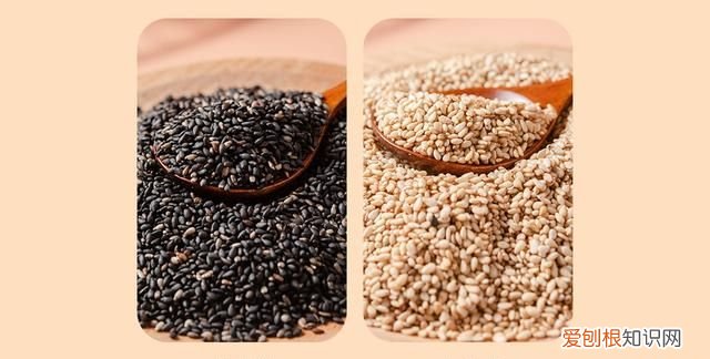 纯芝麻香油和小磨香油有何区别，小磨香油与芝麻香油的区别