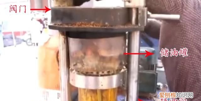 纯芝麻香油和小磨香油有何区别，小磨香油与芝麻香油的区别