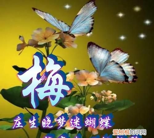 庄生晓梦迷蝴蝶下一句