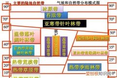 地中海的自然带是什么