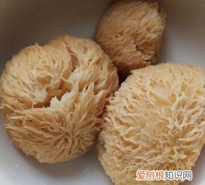 猴头菇怎么做更可口 干猴头菇的最佳做法