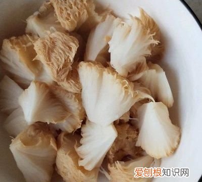 猴头菇怎么做更可口 干猴头菇的最佳做法