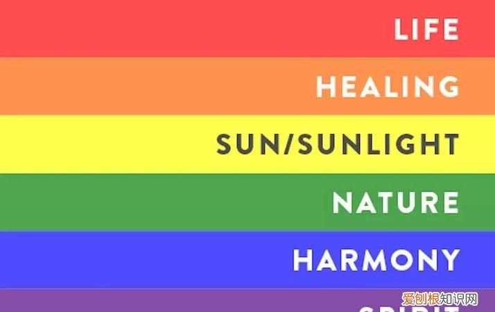 彩虹群体是什么,彩虹圈是什么意思