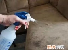 酒精去除污渍使用什么方法,用什么可以去除酒精的污渍