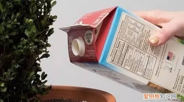 过期的酸奶有什么用可以喝么,过期的酸奶有什么用途小