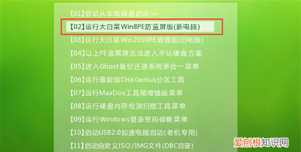 开机怎么进入大白菜，大白菜u盘装机系统启动教程