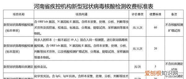 国内第2版新冠标准什么时候颁布