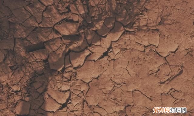 布克专属球鞋,布克一代球鞋什么时候出