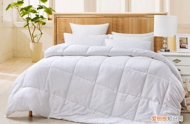 蚕丝被的优点与缺点是什么 蚕丝被的优点与缺点有哪些