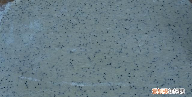 正宗酥饼和面的方法 酥饼怎么和面才好吃