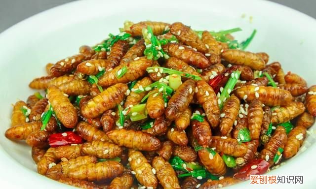 蚕蛹怎么做又脆又酥，蚕蛹怎么做皮酥脆好吃