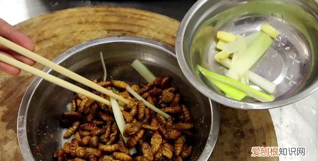 蚕蛹怎么做又脆又酥，蚕蛹怎么做皮酥脆好吃